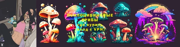 эйфоретик Алзамай