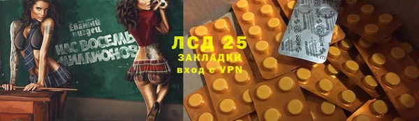 эйфоретик Алзамай