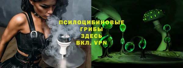 эйфоретик Алзамай