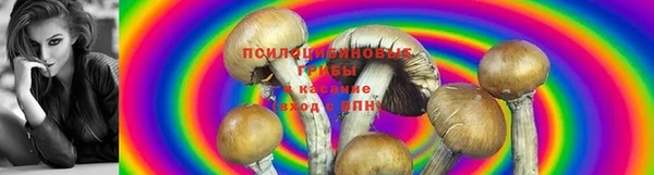 эйфоретик Алзамай