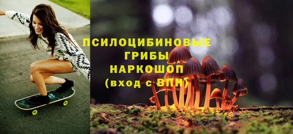 прущие грибы Алексеевка