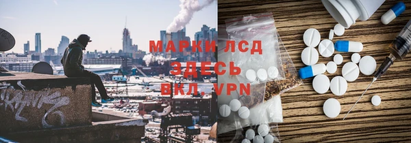 прущие грибы Алексеевка