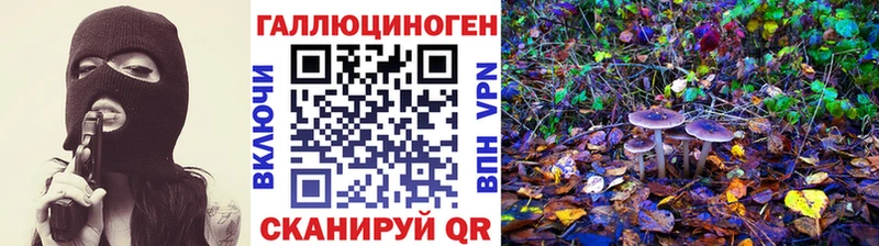 Купить закладки  Чебоксары  Галлюциногенные грибы GOLDEN TEACHER 